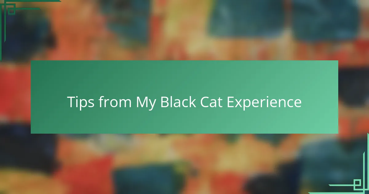 Tips from My Black Cat Experience